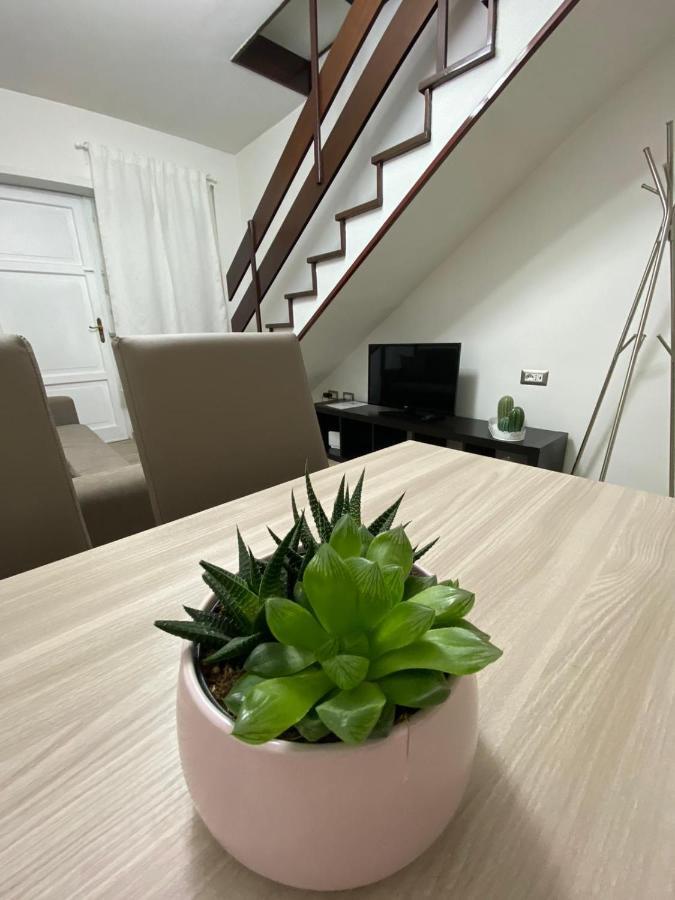The Place In Guest house